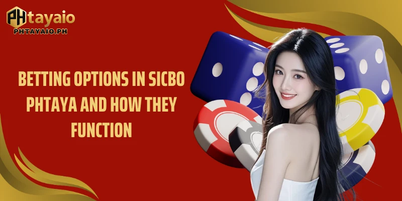 Betting options in Sicbo PHTAYA and how they function