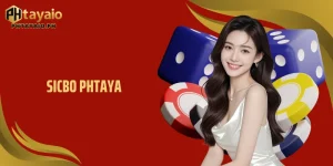 Sicbo PHTAYA Reveals Hidden Mechanics Behind Dice Game
